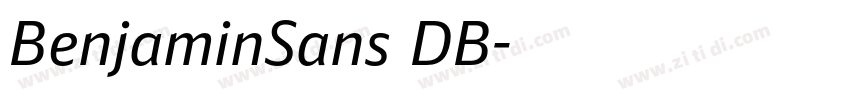 BenjaminSans DB字体转换
